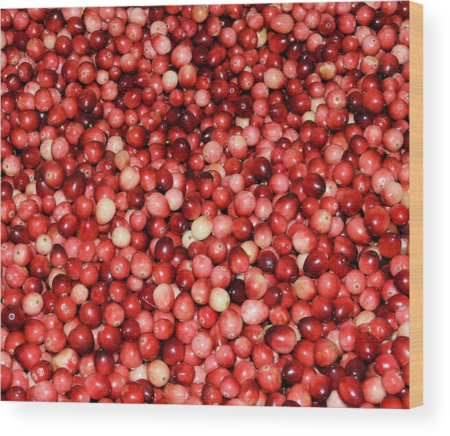 Food Wood Print featuring the photograph Cape Cod Cranberries by Charles HALL