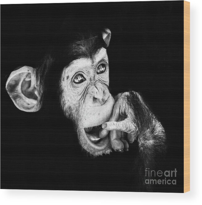 Monkey Wood Print featuring the photograph Chimpanzee baby by Ruth Jolly