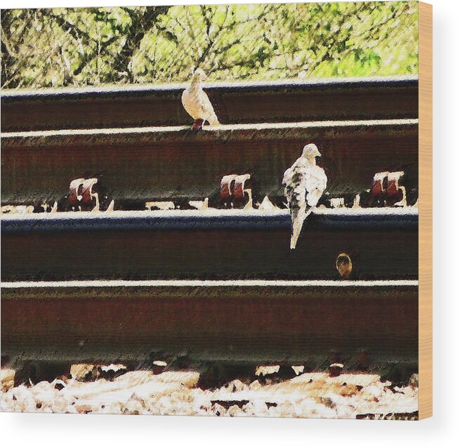Abstract Wood Print featuring the photograph Doves on the Tracks by Lenore Senior