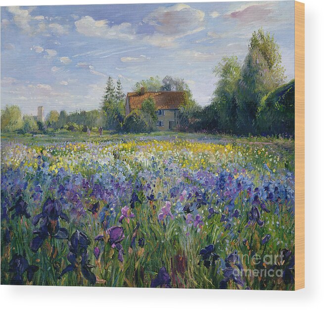 Landscape;market Gardening; Flowers; Horticulture;cottage; Summer; Rural; Irises; Landscapes Wood Print featuring the painting Evening at the Iris Field by Timothy Easton