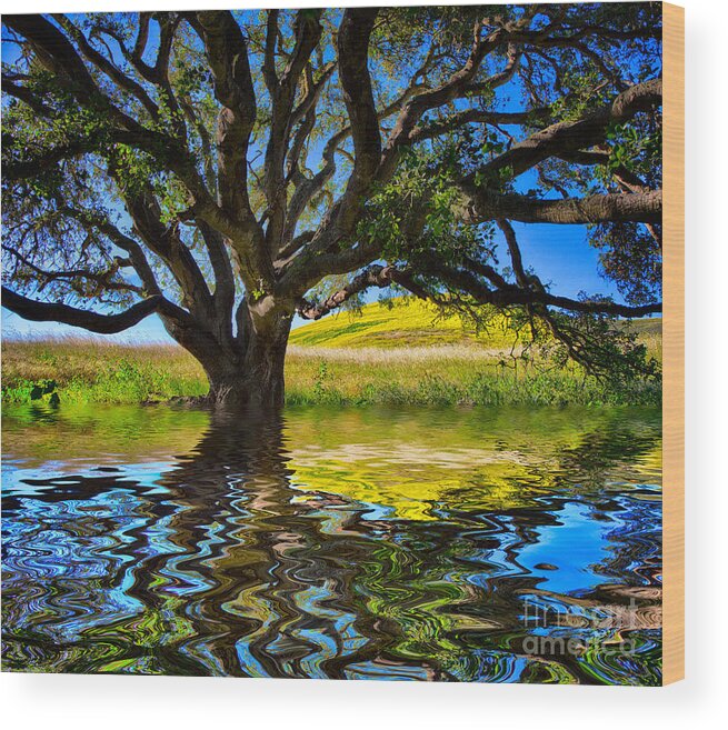 Oak Wood Print featuring the photograph Flooded Oak by Mimi Ditchie