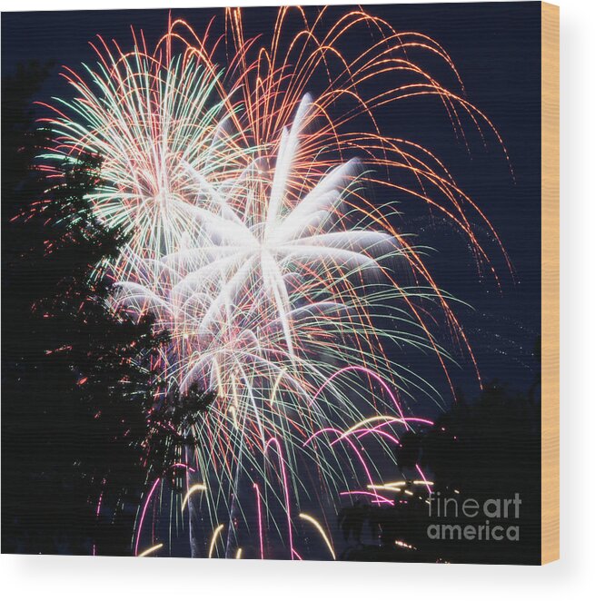 Fireworks Wood Print featuring the photograph Flowers of Light by Robert E Alter Reflections of Infinity