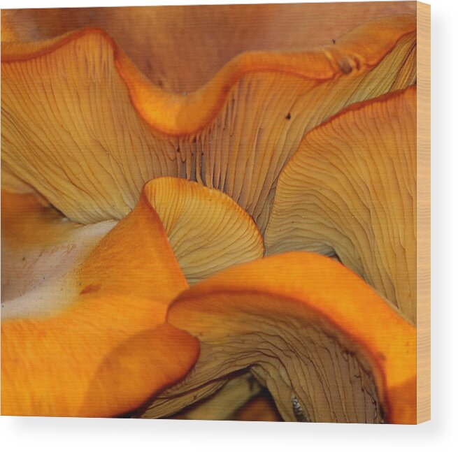 Nature Wood Print featuring the photograph Golden Mushroom Abstract by Sheila Brown