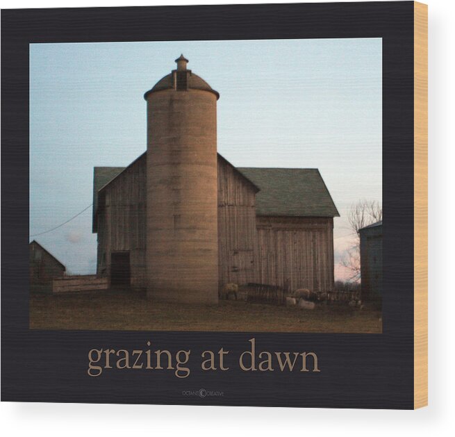 Barn Wood Print featuring the photograph Grazing at Dawn by Tim Nyberg