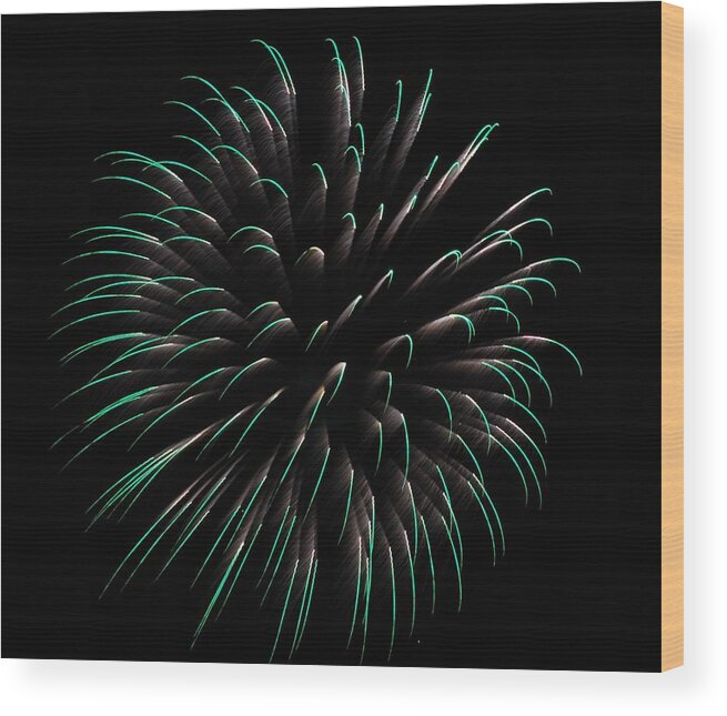 Fireworks Wood Print featuring the photograph Green Monster by Donna Shahan