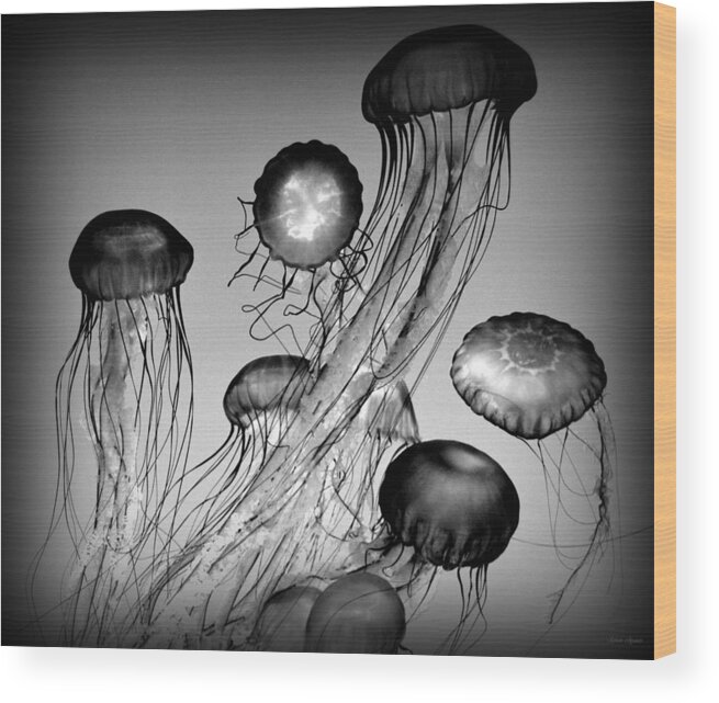 Monochrome Wood Print featuring the photograph Jellyfish in Monochrome by Mariecor Agravante