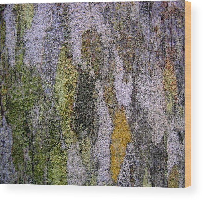 Lichen Wood Print featuring the photograph Lichen and Old Fence #4 by Larry Bacon