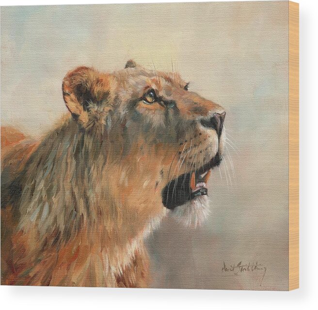 Lioness Wood Print featuring the painting Lioness Portrait 2 by David Stribbling