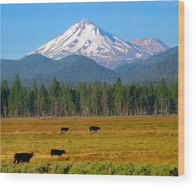 Mt. Shasta Wood Print featuring the photograph Mt. Shasta Morning by Betty Buller Whitehead