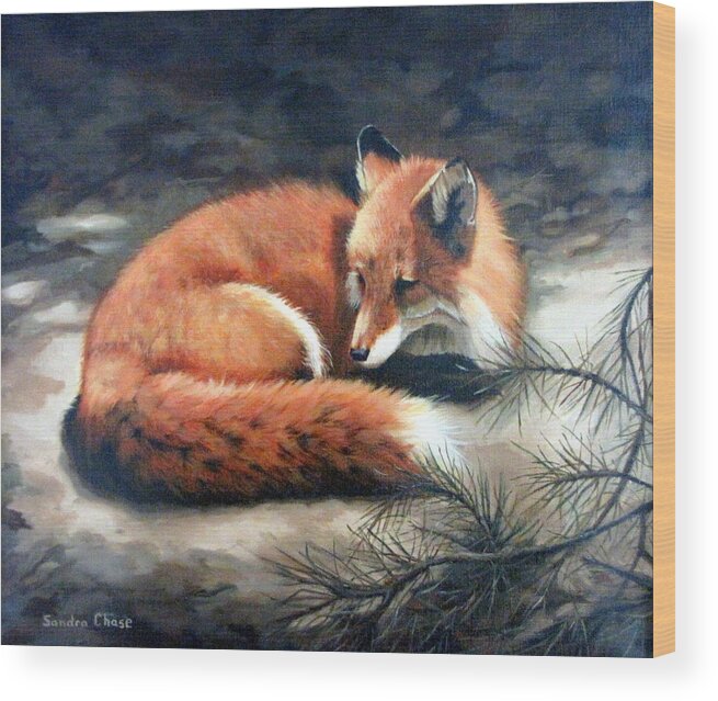 Red Fox Wood Print featuring the painting Naptime in the Pine Barrens by Sandra Chase