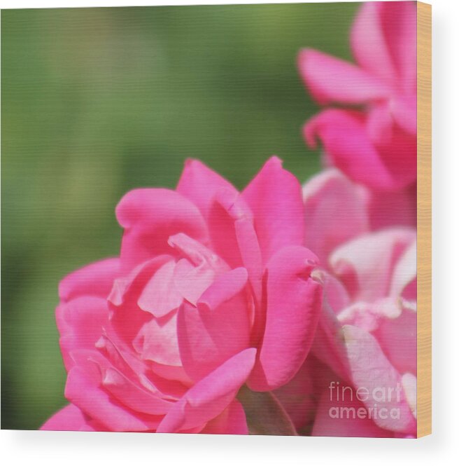Pink Wood Print featuring the photograph Nature's Beauty 4 by Deena Withycombe