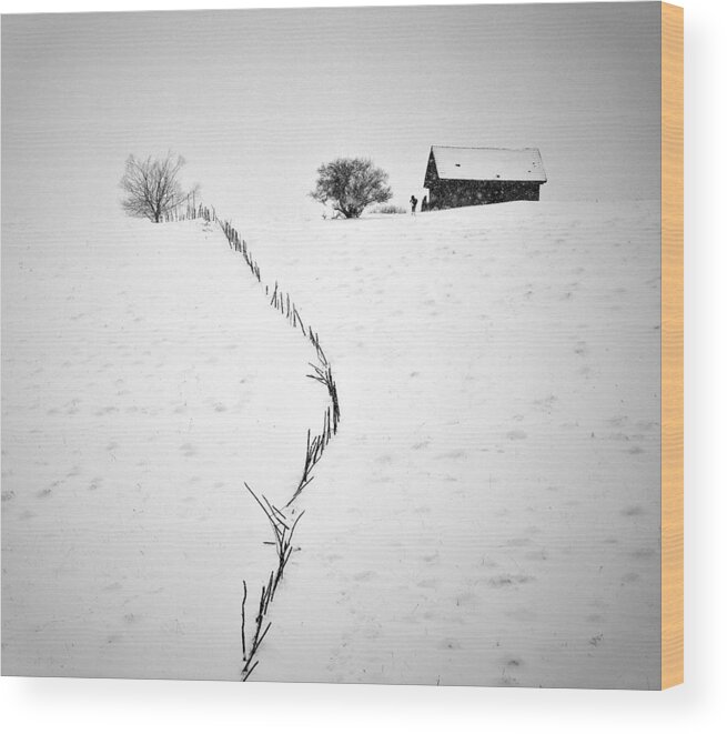 Landscape Wood Print featuring the photograph Neighbors by Ionut Harag
