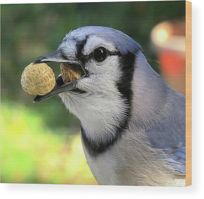 Blue Jay Wood Print featuring the photograph One for the Road by Linda Stern