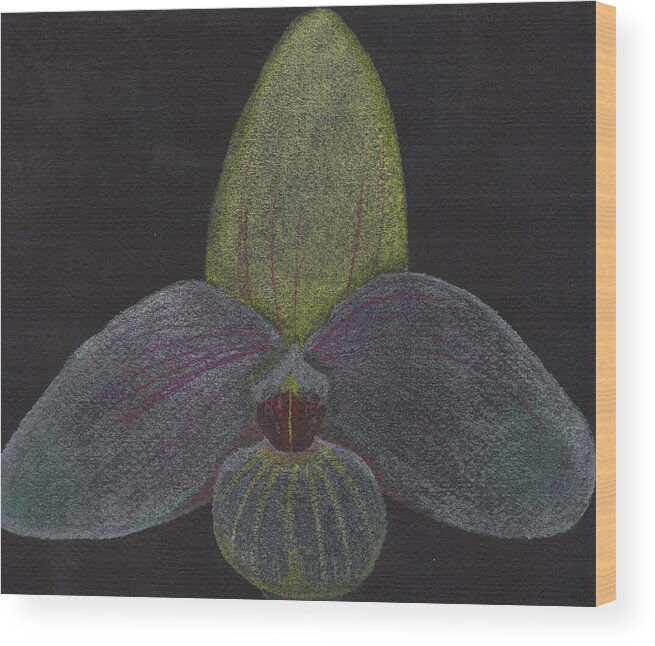 Pastel Wood Print featuring the pastel Paphiopedilum Mem. Orchid by Martin Valeriano