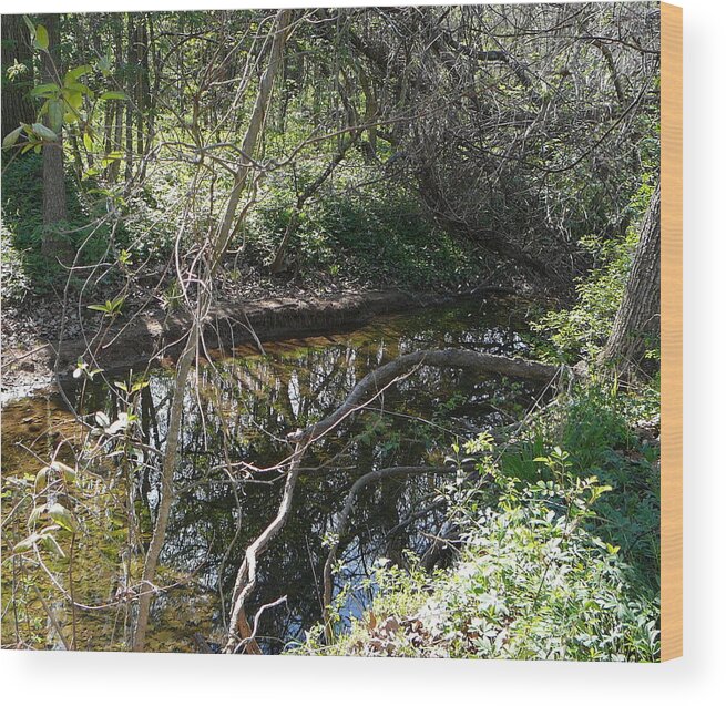 Nature Wood Print featuring the photograph Pearson Creek 2 by Jan Bennicoff