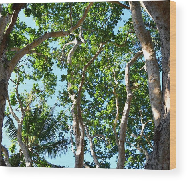 Tree Wood Print featuring the photograph Photo 45 by Lucie Dumas