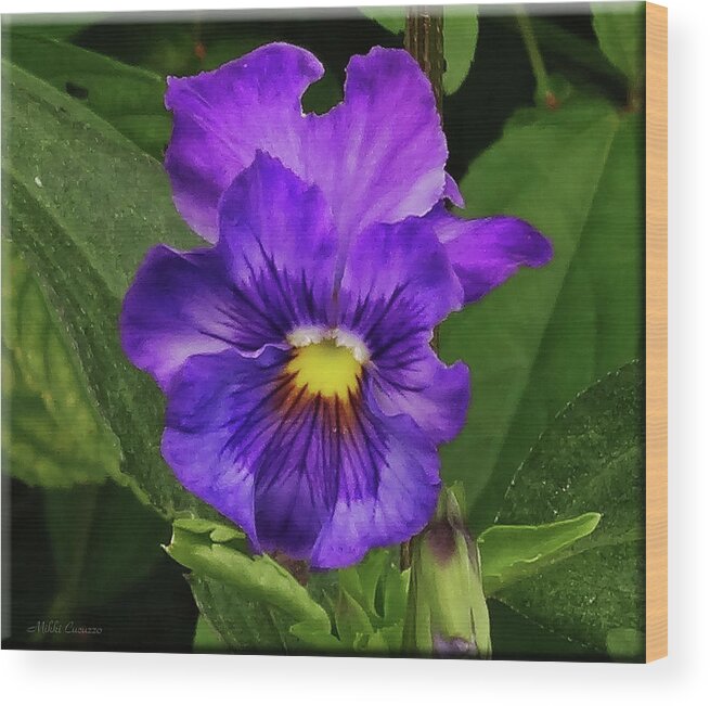 Floral Wood Print featuring the photograph Pretty Purple Pansie by Mikki Cucuzzo