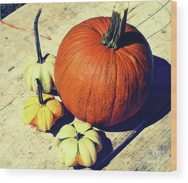 Pumpkins Wood Print featuring the photograph Pumpkin and Squash by Onedayoneimage Photography