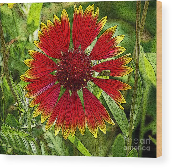 Berry Wood Print featuring the digital art Red Flower by Diane E Berry