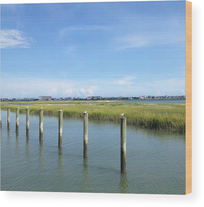 Seagull Wood Print featuring the photograph Seagull Line by Carol Anne Dillon
