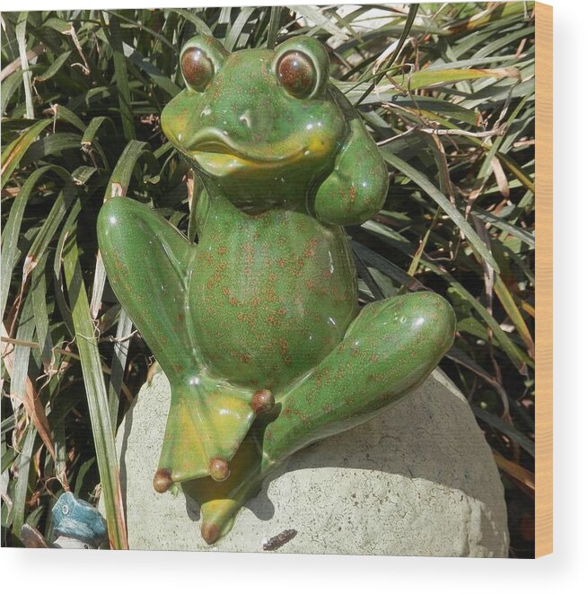 Sexy Female Frog Wood Print by Belinda Lee - Pixels
