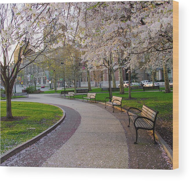Spring Wood Print featuring the photograph Springtime in Philadelphia by Bill Cannon