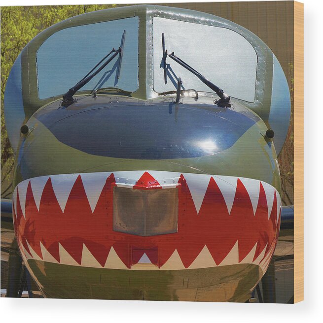 Plane Wood Print featuring the photograph Teeth #52 by Raymond Magnani