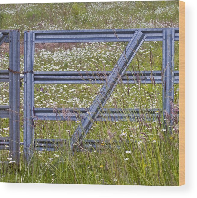 Gate Wood Print featuring the photograph The Gate by Rebecca Cozart