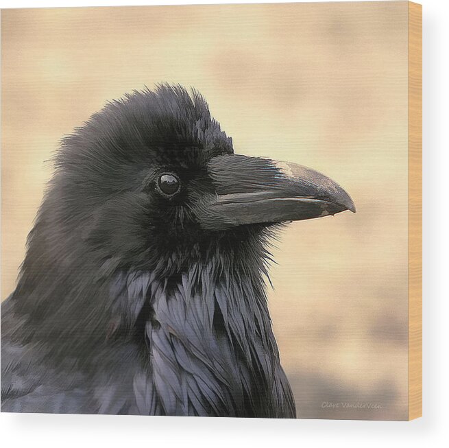 Raven Wood Print featuring the photograph The Raven by Clare VanderVeen