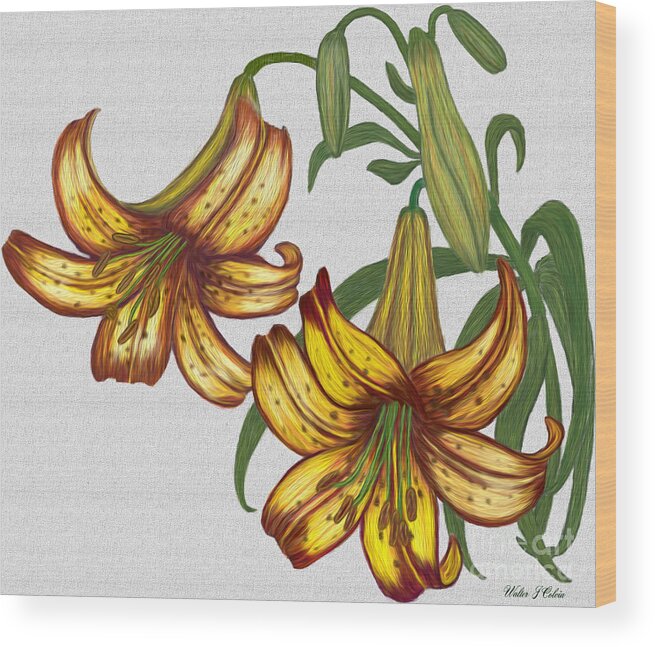 Tiger Lily Wood Print featuring the digital art Tiger Lily Blossom by Walter Colvin