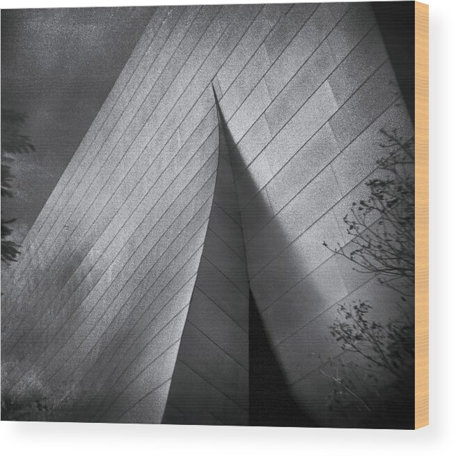 Architecture Wood Print featuring the photograph Walt Disney Concert Hall 1 by Denise Dube