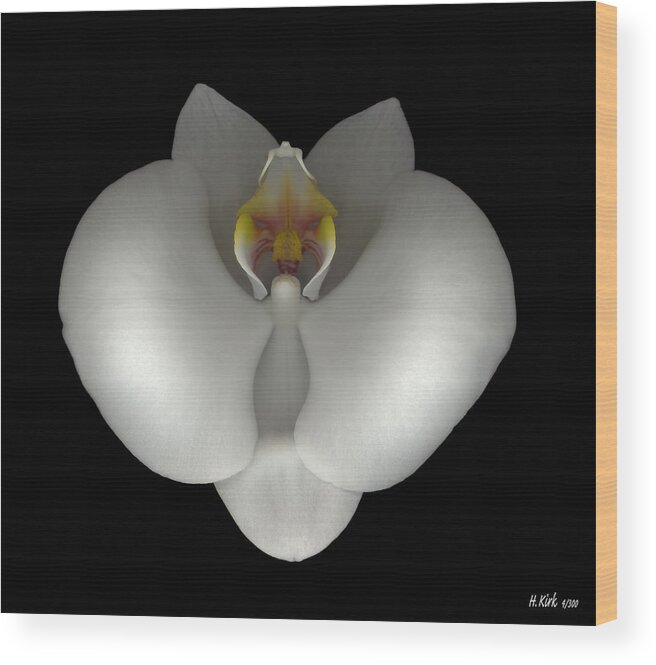  Wood Print featuring the photograph White Orchid on Black by Heather Kirk