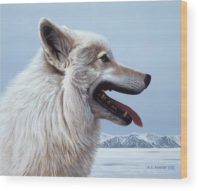 A Portrait Of An Artic Wolf. Wood Print featuring the painting Arctic Wolf Portrait by Ron Parker