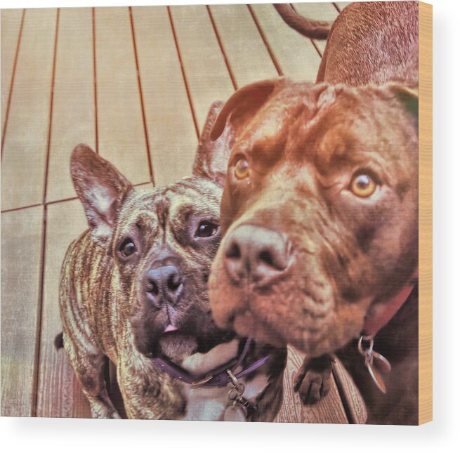 Dog Wood Print featuring the photograph #besties by JAMART Photography