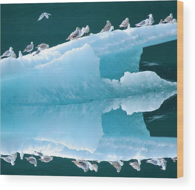 Usa Wood Print featuring the photograph Birds on Ice by Joan Stratton