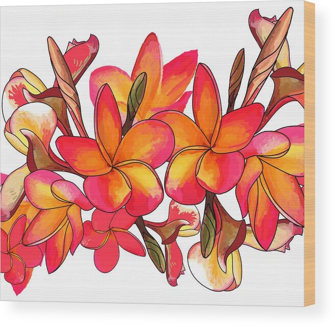 Nature Wood Print featuring the drawing Coloured Frangipani white bkgd3 by Joan Stratton