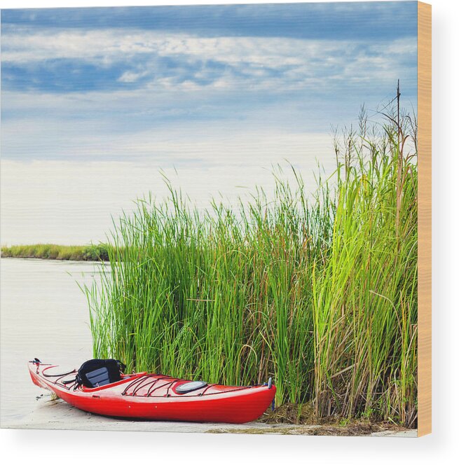 Scenics Wood Print featuring the photograph Empty Kayak Resting In Reeds by Catlane