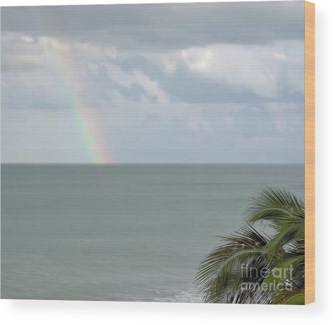 Rainbow Wood Print featuring the photograph Florida - Beach - Rainbow by D Hackett