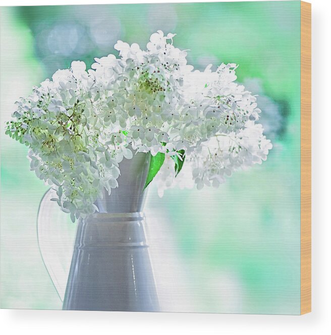 Buckinghamshire Wood Print featuring the photograph Hydrangea Paniculata Flower by Jacky Parker Photography