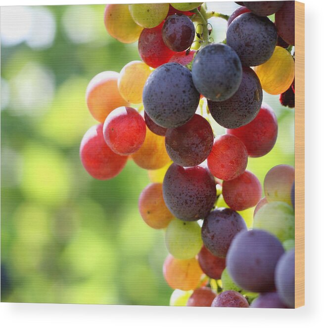 Hanging Wood Print featuring the photograph In Focus Shot Of Ripe Grapes In A by Pk-photos