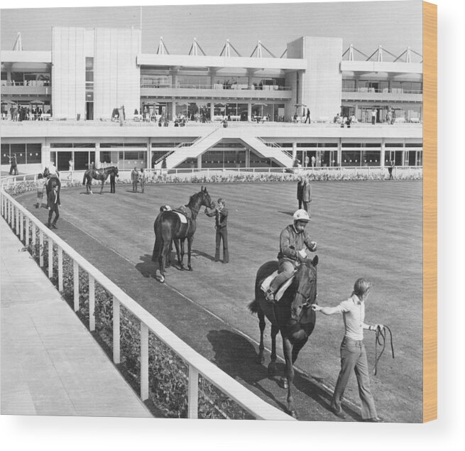 Horse Wood Print featuring the photograph New Grandstand by Central Press