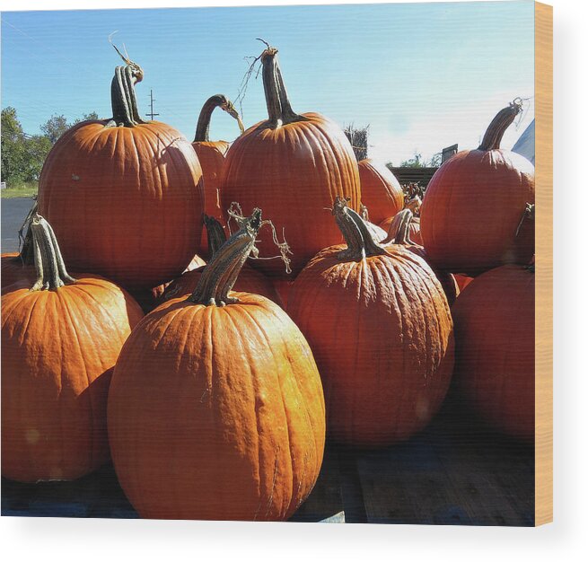 Pumpkins Wood Print featuring the photograph Pumpkin Pie Supplies or Jack O' Lanterns by Linda Stern