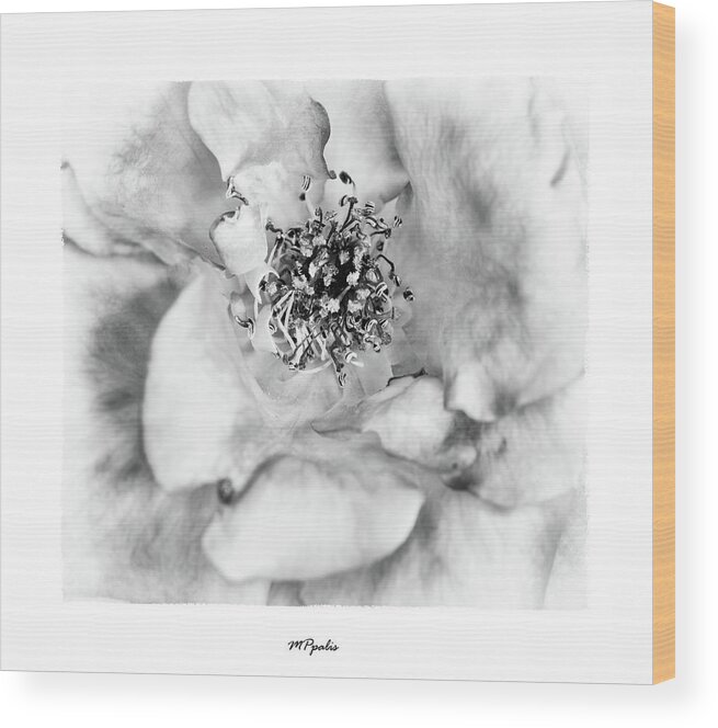 Rose Wood Print featuring the photograph Red rose flower details by Michalakis Ppalis