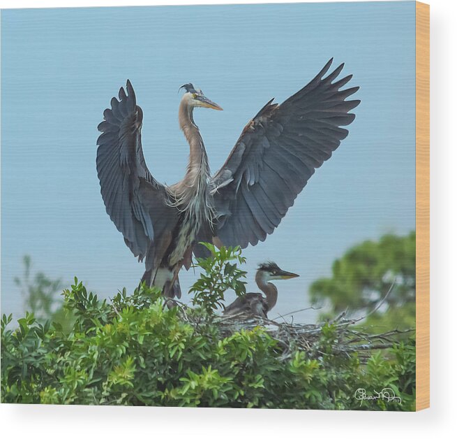 Susan Molnar Wood Print featuring the photograph The Protector by Susan Molnar