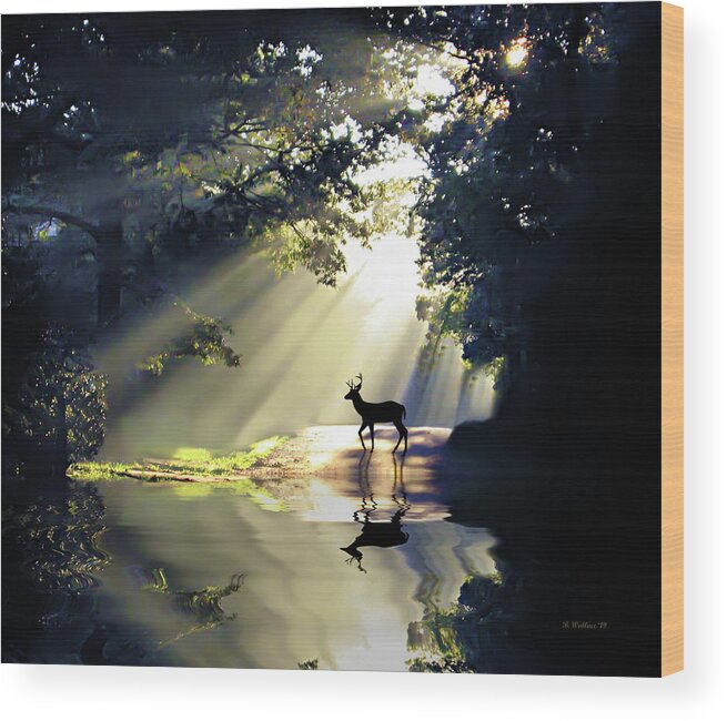 2d Wood Print featuring the photograph Wake Up Deer by Brian Wallace