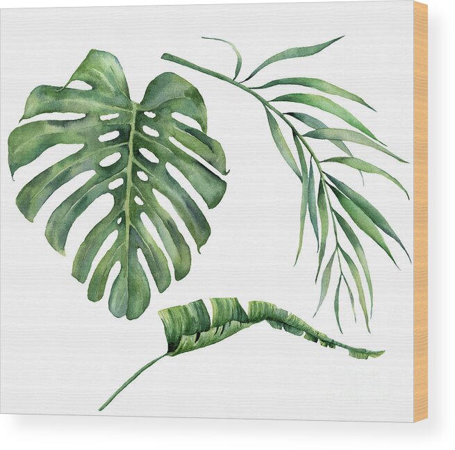 Home Decor Wood Print featuring the digital art Watercolor Set With Tropical Tree by Yuliya Derbisheva