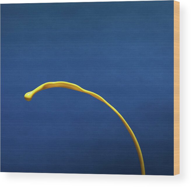 Copenhagen Wood Print featuring the photograph Yellow Paint On Blue Surface by Henrik Sorensen