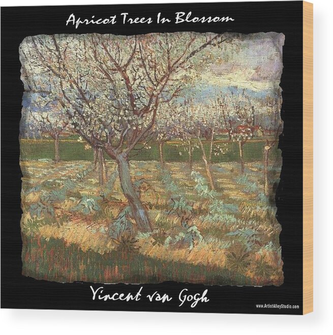 Vincent Wood Print featuring the painting Apricot Trees In Blossom - VVG by The GYPSY and Mad Hatter