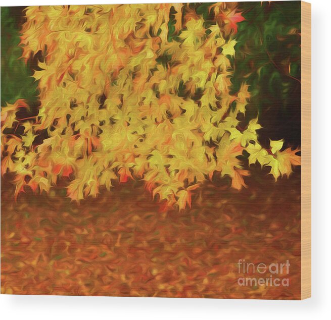 Fall Foliage Wood Print featuring the photograph Fall Foliage #1 by George Robinson