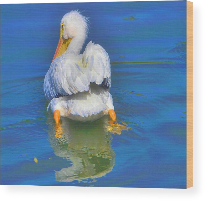 Pelican Wood Print featuring the photograph American White Pelican by Alison Belsan Horton